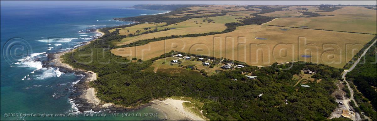 Peter Bellingham Photography Bear Gully - VIC (PBH3 00 32574)